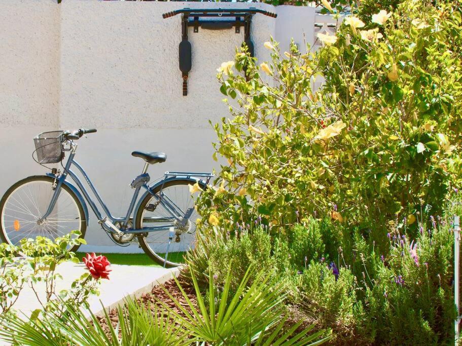 Villa Entire By The Sea With Private Garden And Mini Pool Torrevieja