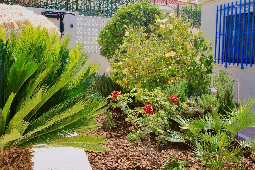 Entire By The Sea With Private Garden And Mini Pool Villa *