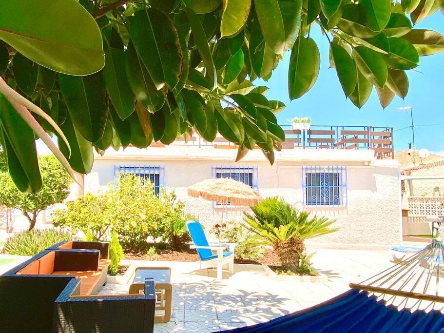 Entire By The Sea With Private Garden And Mini Pool Torrevieja