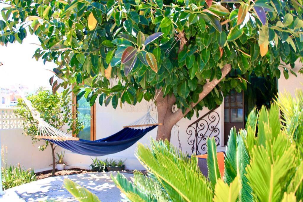 Entire By The Sea With Private Garden And Mini Pool Villa *